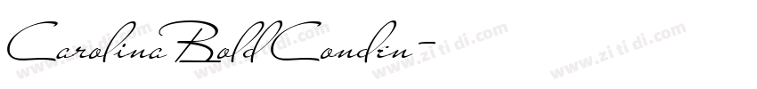 Carolina Bold Conden字体转换